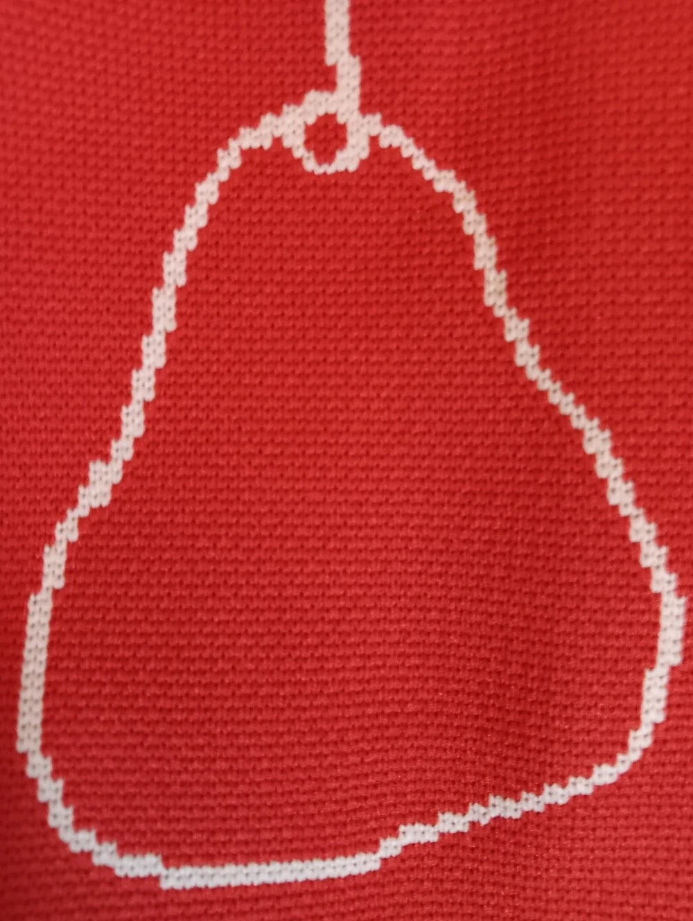 Free People Red Knitted Style Tote With Pears Print
